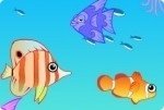 Aquarium Aquarium