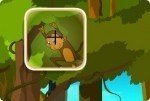 Chercher les singes Chercher les singes