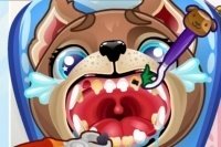 Chiot chez le dentiste Chiot chez le dentiste