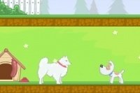Couples d’animaux Couples d’animaux