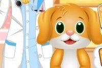 Dentiste animal Dentiste animal