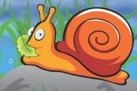 Escargot affamé Escargot affamé
