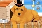 Habiller le chien 2 2 Habiller le chien 2 2