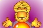 L’incroyable Garfield L’incroyable Garfield