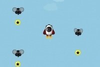 La guerre des oiseaux La guerre des oiseaux