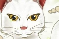 Le chat qui calcule Le chat qui calcule