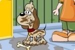 Nettoyer le chien Nettoyer le chien