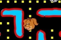 Pacman canin Pacman canin