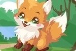 Prendre soin du renard Prendre soin du renard