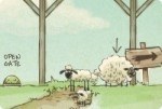 Ramener les moutons Ramener les moutons