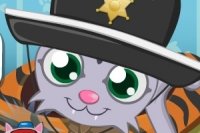 Soigner les Chatons Soigner les Chatons
