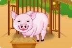 Soigner les petits cochons Soigner les petits cochons