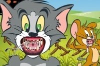 Tom et Jerry chez le dentiste Tom et Jerry chez le dentiste