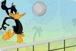 Volley Daffy Duck Volley Daffy Duck