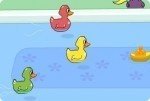 Course de canards au bain