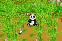 Ferme Panda