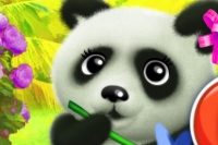 Le Panda Heureux